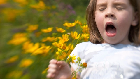 Allergies symptoms (source: Getty Images/BigPappa) Girl standing in a meadow with flowers holding several small sunflowers in one hand. The girl has her mouth open, her eyes shut and is about to sneeze. She appears to be having an allergic reaction to the plants around her.