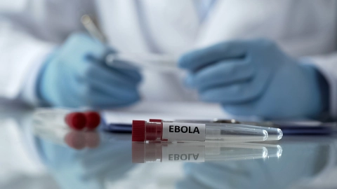 Пробирки с красной крышкой и надписью Ebola лежат на стеклянном столике.